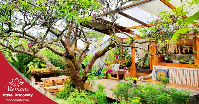 Homestay Earth Tone Đà Lạt – nơi ẩn náu những trái tim ấm nóng