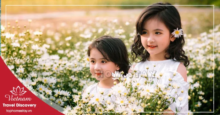 UPDATE Giá Vé Tham Quan Du Lịch Ở Hải Dương Mới Nhất 2026
