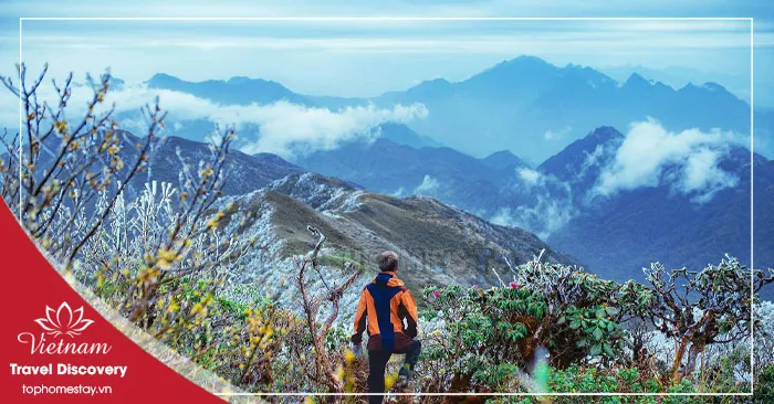 UPDATE Giá Vé Tham Quan Du Lịch Ở Lai Châu Mới Nhất 2026