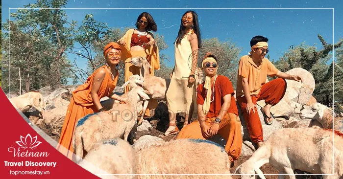 UPDATE Giá Vé Tham Quan Du Lịch Ở Ninh Thuận Mới Nhất 2026