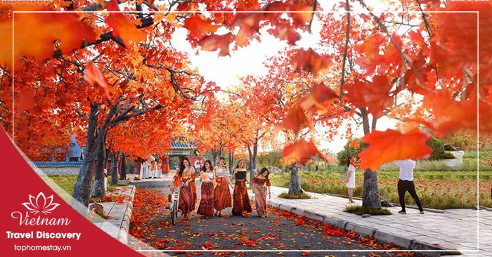 UPDATE Giá Vé Tham Quan Du Lịch Ở Thái Bình Mới Nhất 2026