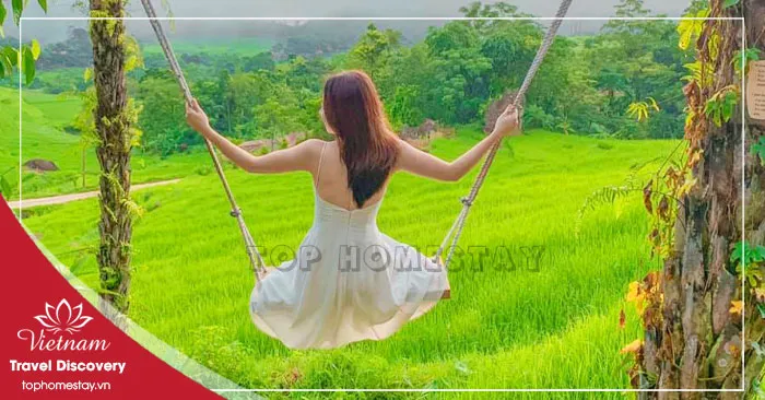 UPDATE Giá Vé Tham Quan Du Lịch Ở Thanh Hóa Mới Nhất 2026