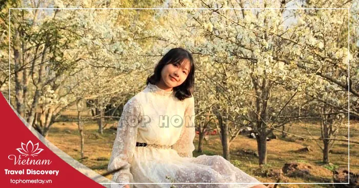 UPDATE Giá Vé Tham Quan Du Lịch Ở Tuyên Quang Mới Nhất 2026