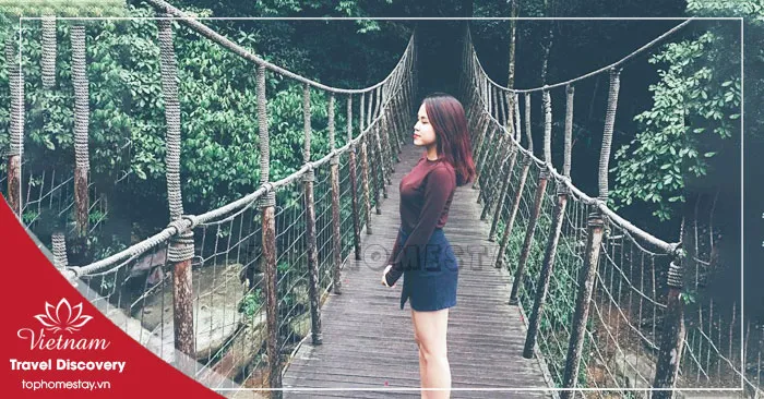 Tour du lịch Tam Đảo 1 ngày