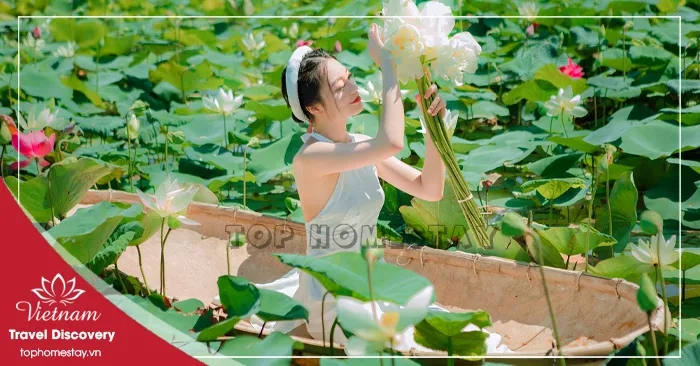Dịch Vụ Thuê Thợ Chụp Hình Nghệ Thuật Với Sen Đẹp Ở Tp.HCM (Sài Gòn)