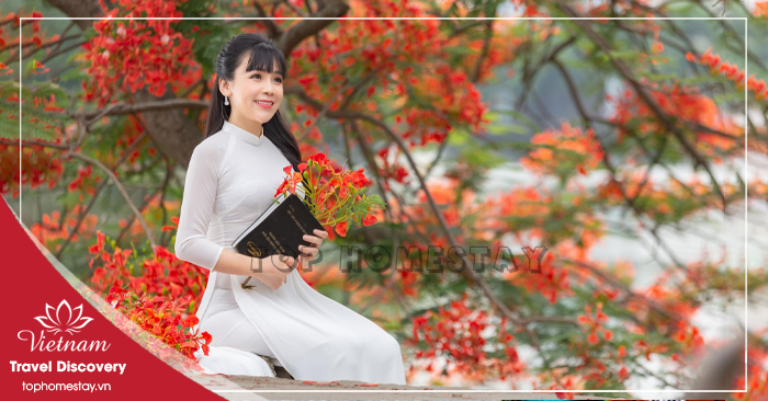 Dịch vụ thuê thợ chụp ảnh với hoa phượng tại Tp.HCM (Sài Gòn)