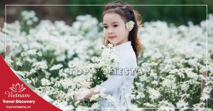 Dịch vụ Thuê Thợ Chụp Ảnh Em Bé & Gia Đình Trọn Gói tại Tp.HCM (Sài Gòn)