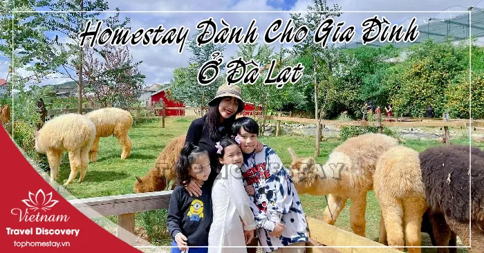 Khám Phá 10 Homestay Đáng Yêu Dành Cho Gia Đình Tại Đà Lạt