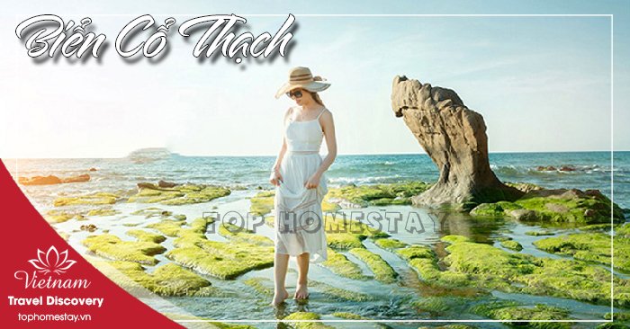 Bãi Đá Biển Cổ Thạch Phan Thiết Mũi Né