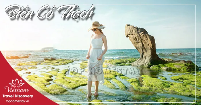 Bãi Đá Biển Cổ Thạch Phan Thiết Mũi Né
