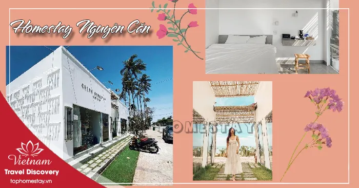 Những Homestay Cho Thuê Nguyên Căn Ở Phan Thiết - Mũi Né