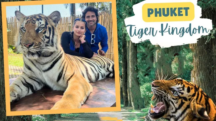 Review Trang Trại Hổ Tiger Kingdom Phuket