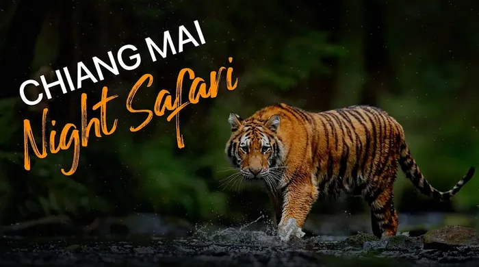 Review Công Viên Chiang Mai Night Safari Park Thái Lan - เชียงใหม่ไนท์ซาฟารี