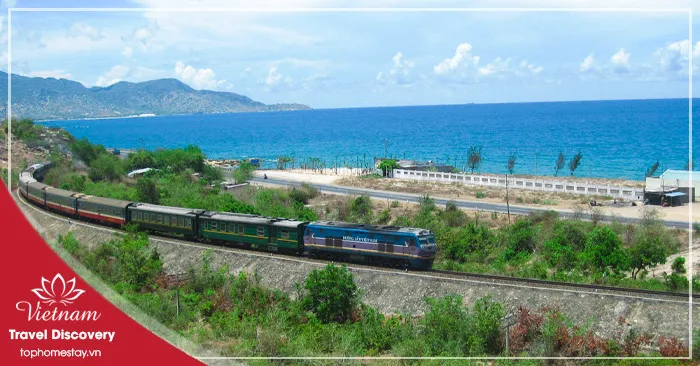 Tour Du Lịch Quy Nhơn Tết Nguyên Đán 3 Ngày 4 Đêm Bằng Tàu Hoả (Xe Lửa)